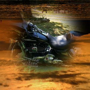 Meet your Posher, Marcia